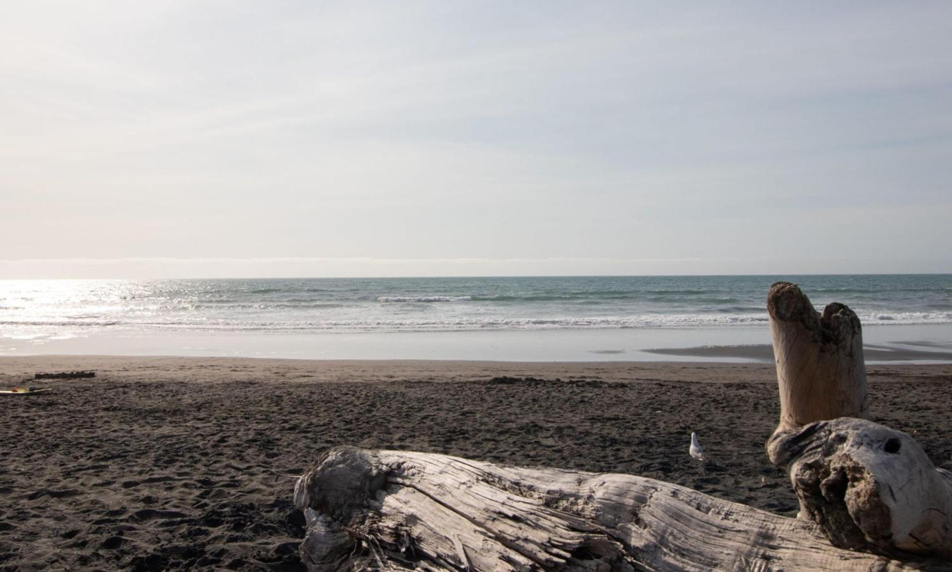 The Dunes At Fitzroy Beach - Unit 3 New Plymouth Extérieur photo